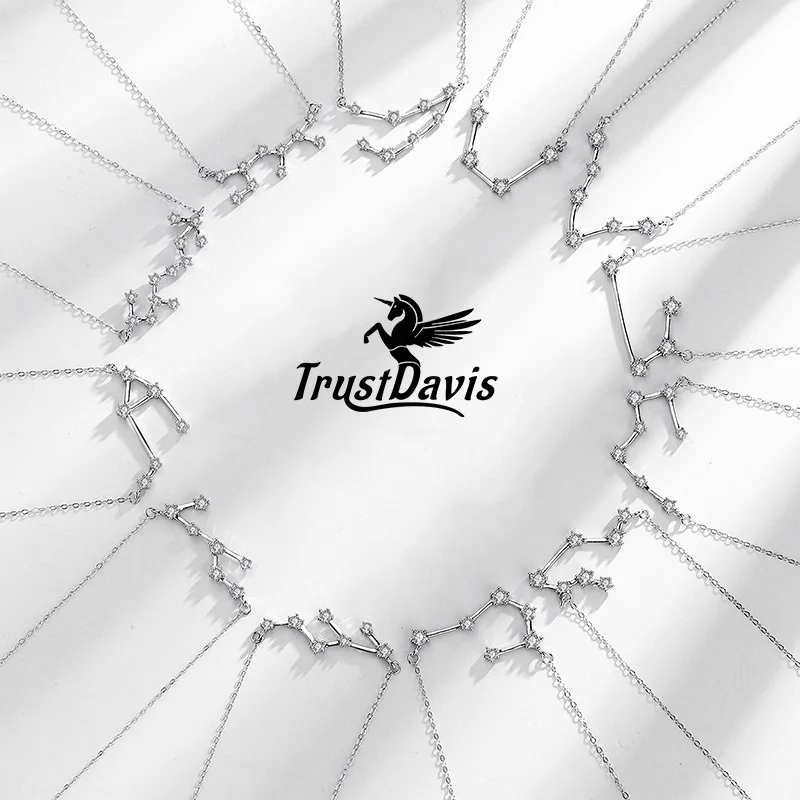 TrustDavis Girls Real 925 Sterling Silver Necklace 12 Constellations Pendant Birthday Gift for Women Daughter Jewelry DS4062