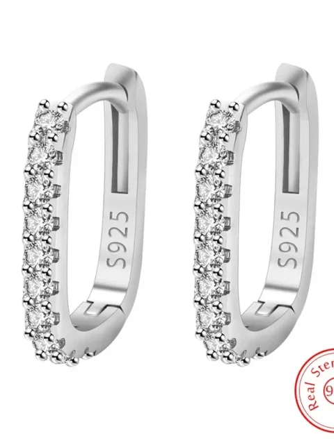 trending products 925 Sterling Silver Crystal Jewelry Fashion Zircon Circle Hoop Earrings for Woman Lady Wedding Party Gifts