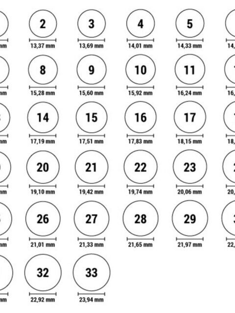 Ladies' Ring Skagen JRSG005SS