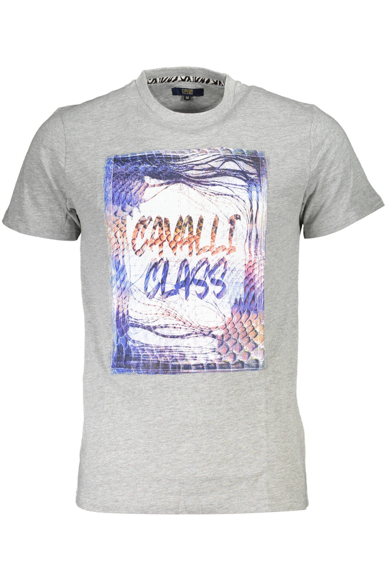CAVALLI CLASS T-SHIRT SHORT SLEEVE MAN GRAY