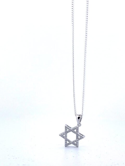 925 Sterling Silver Star of David Necklace